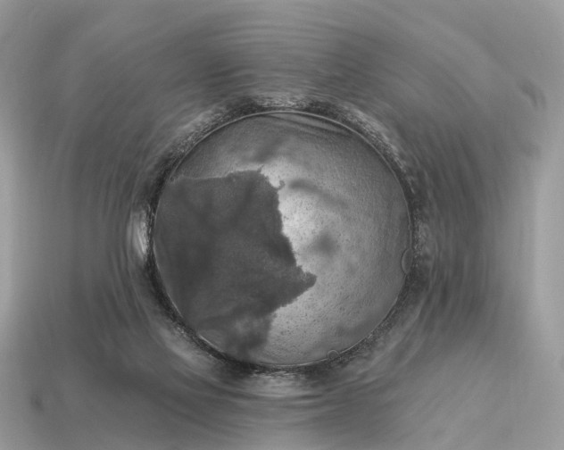 X0000115130069200911101655