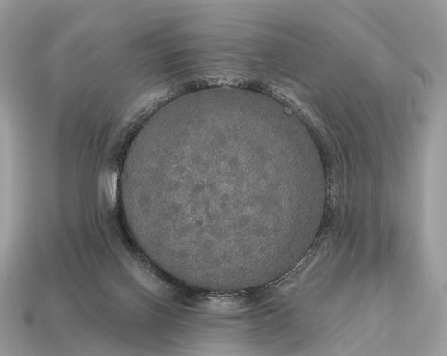 X0000115130070200911101655