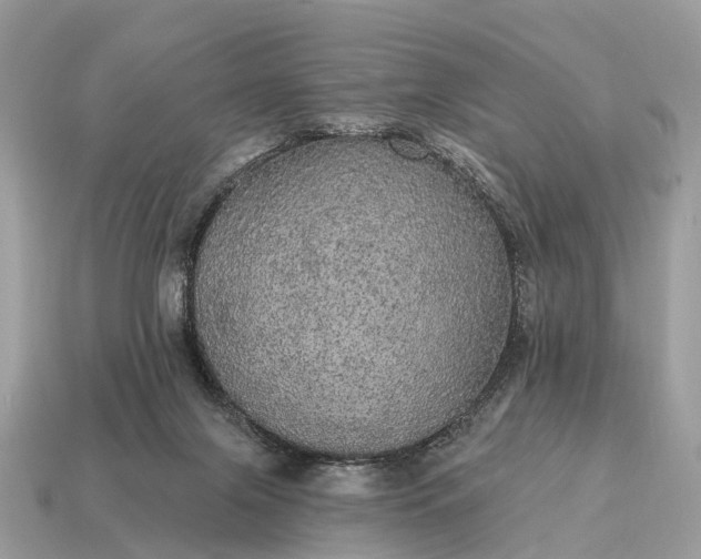 X0000115130071200911101655