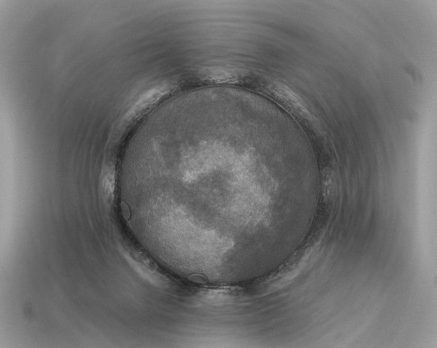X0000115130072200911101655