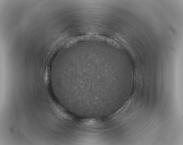 X0000115130074200911101655