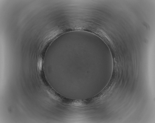 X0000115130076200911101655