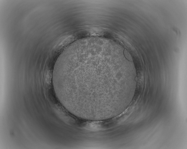X0000115130078200911101655