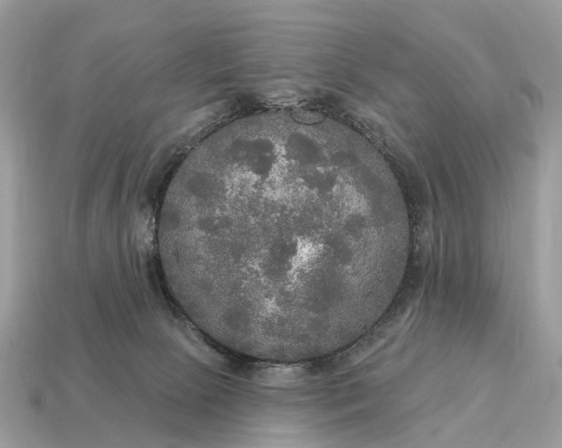 X0000115130081200911101655