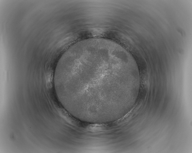 X0000115130082200911101655