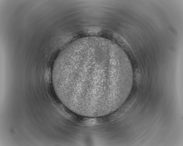 X0000115130083200911101655