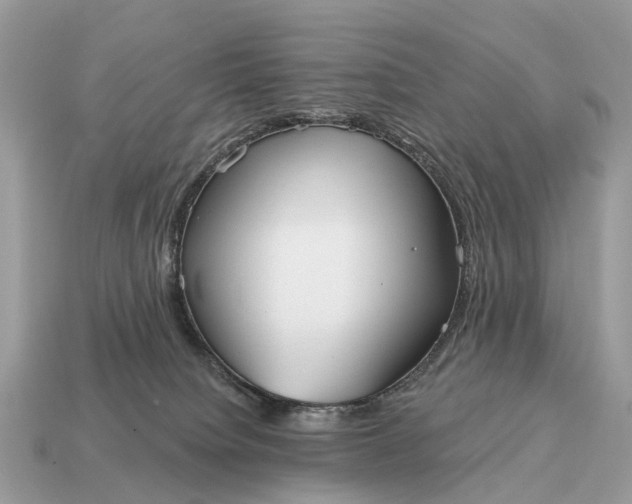 X0000115130084200911101656