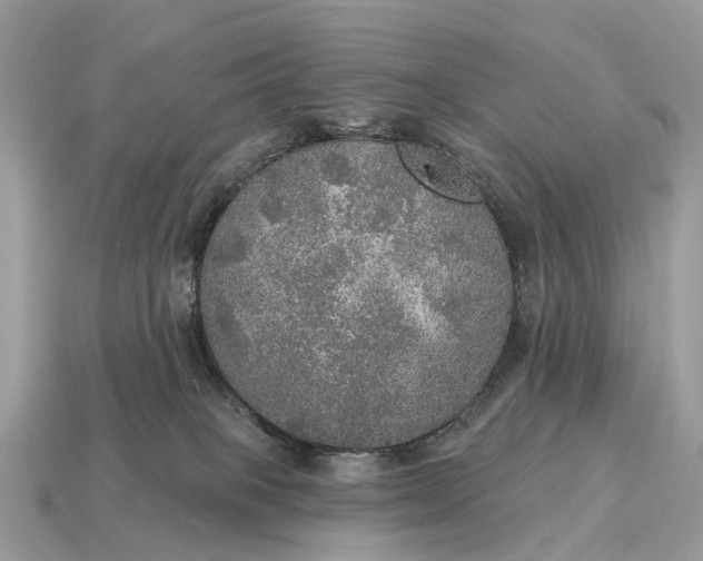 X0000115130085200911101656