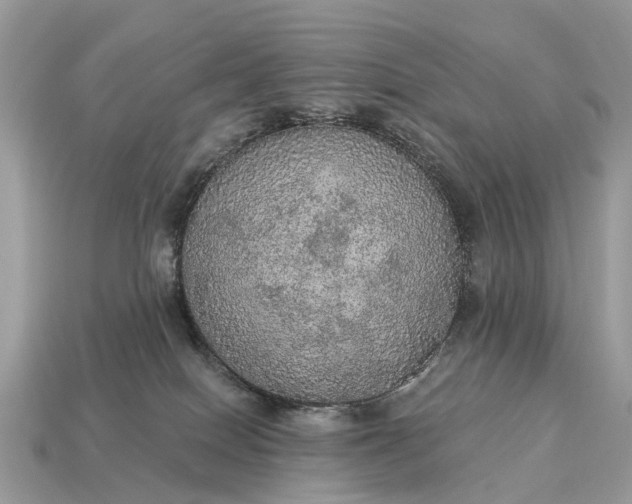 X0000115130086200911101656
