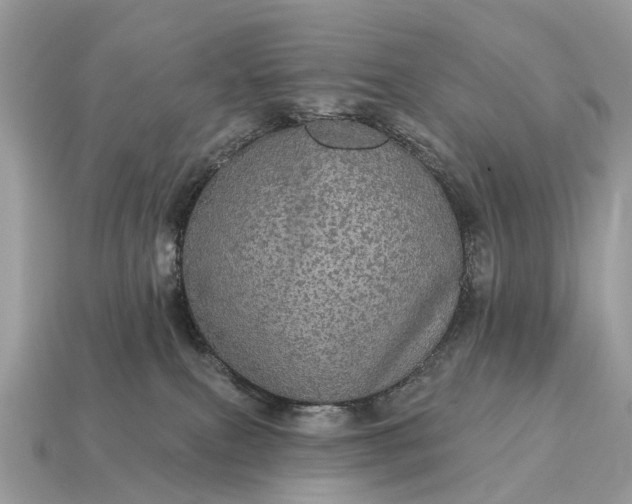 X0000115130087200911101656