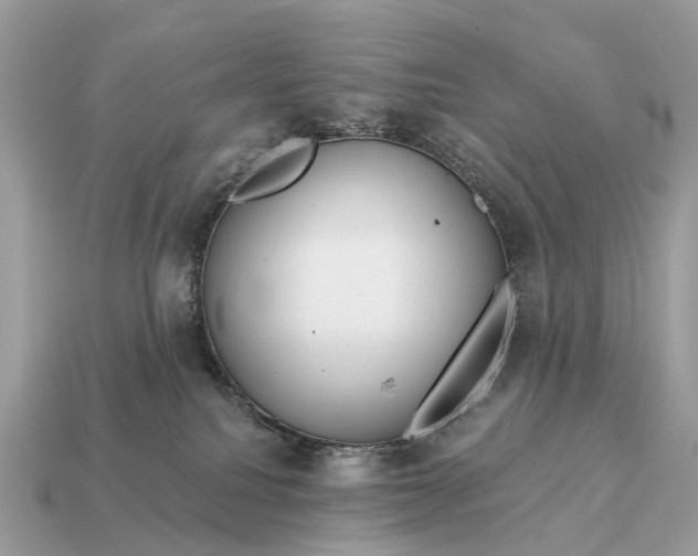 X0000115130088200911101656