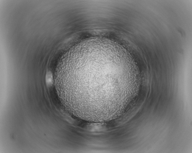 X0000115130089200911101656