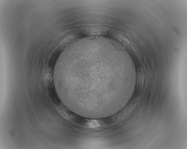X0000115130091200911101656