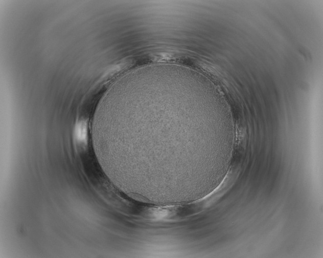 X0000115130094200911101656