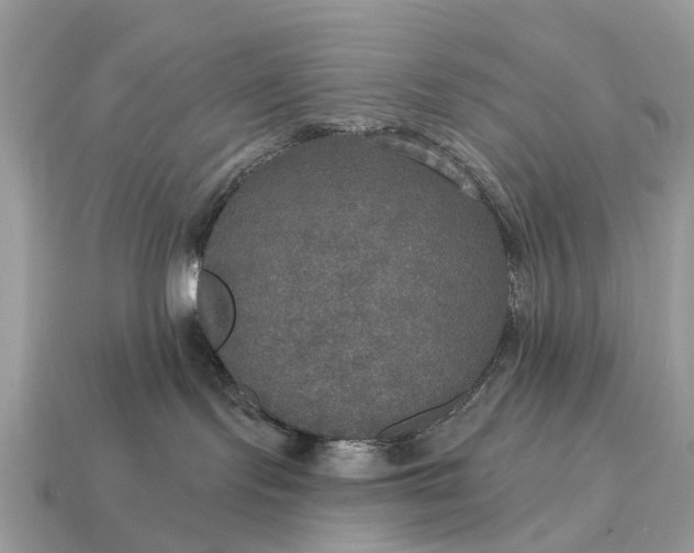 X0000115130095200911101656