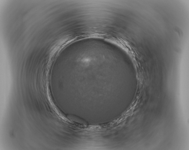 X0000115130097200911101655