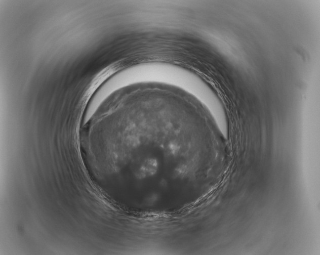 X0000115130099200911101655