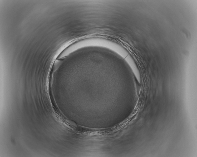 X0000115130100200911101655