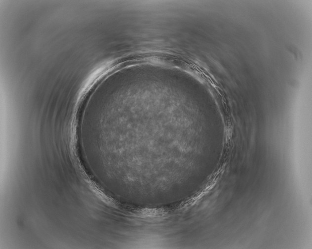 X0000115130101200911101655