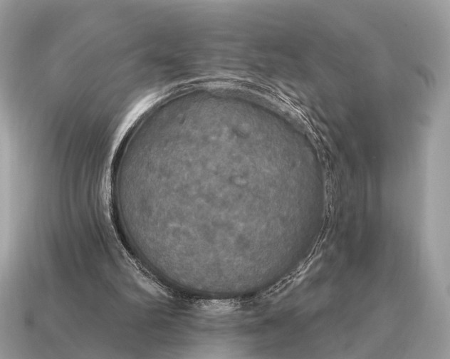 X0000115130102200911101655