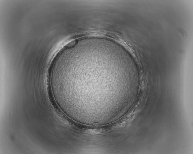 X0000115130103200911101655
