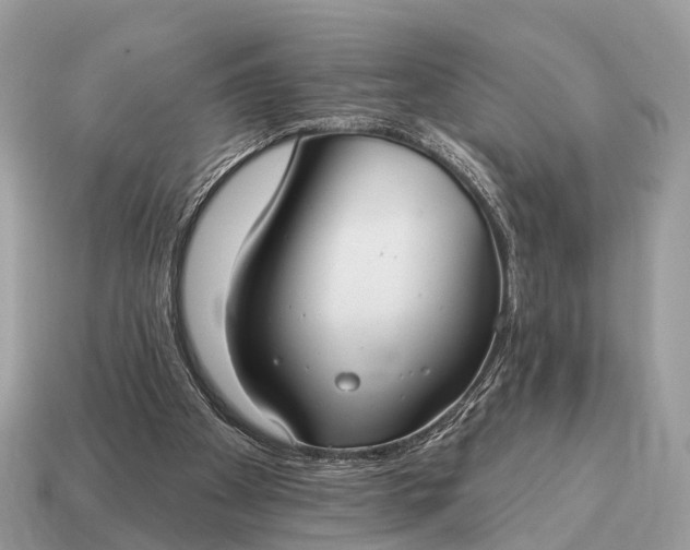 X0000115130105200911101655