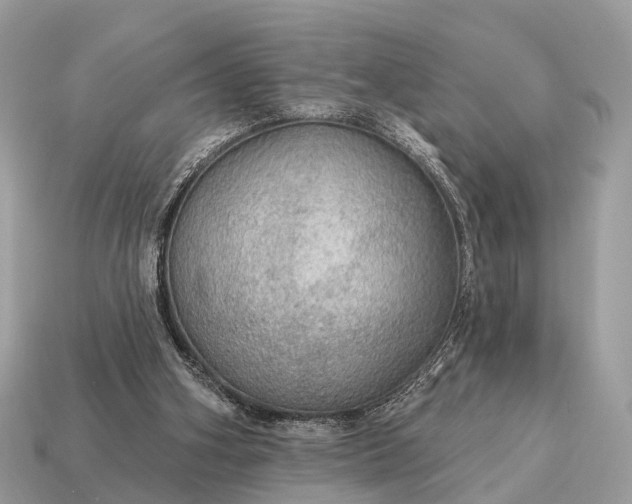 X0000115130106200911101655