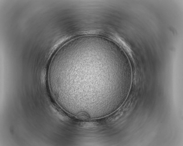 X0000115130107200911101655