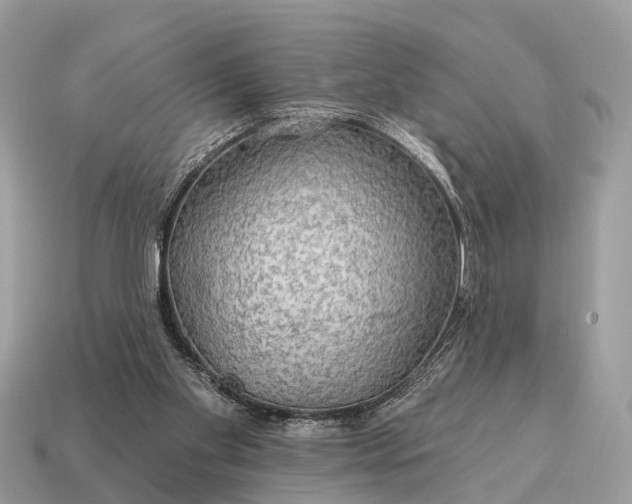 X0000115130109200911101655