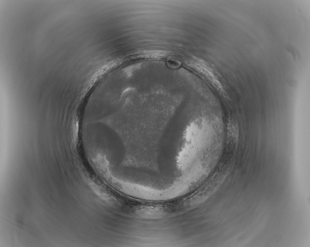 X0000115130110200911101655