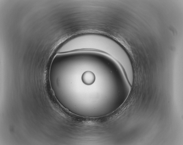 X0000115130111200911101655