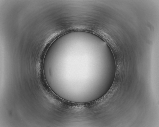 X0000115130112200911101655