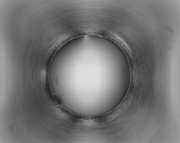 X0000115130113200911101655