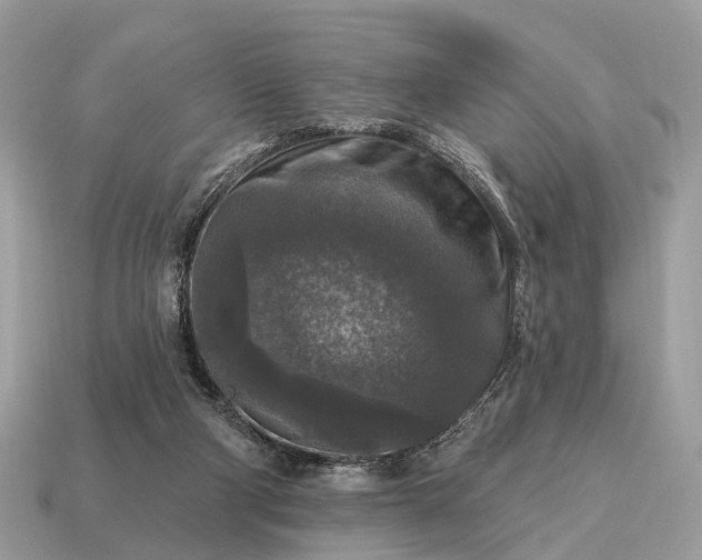 X0000115130114200911101655