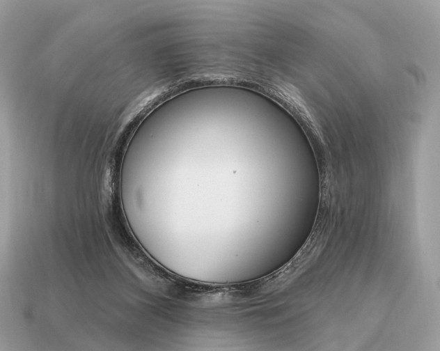 X0000115130116200911101655