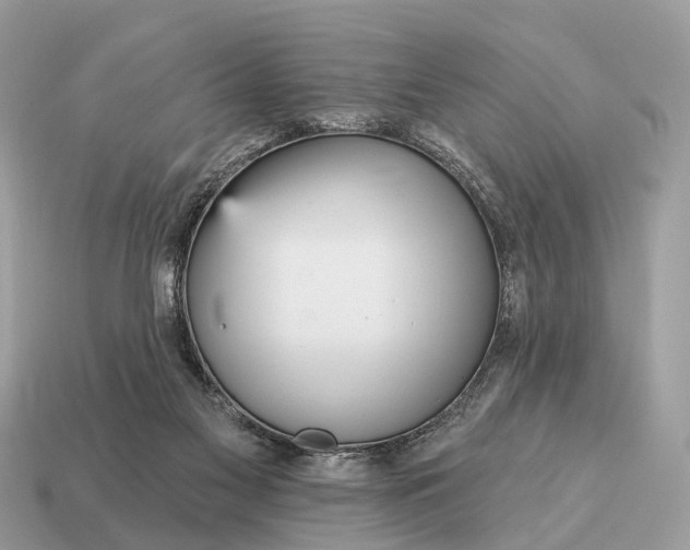 X0000115130117200911101655