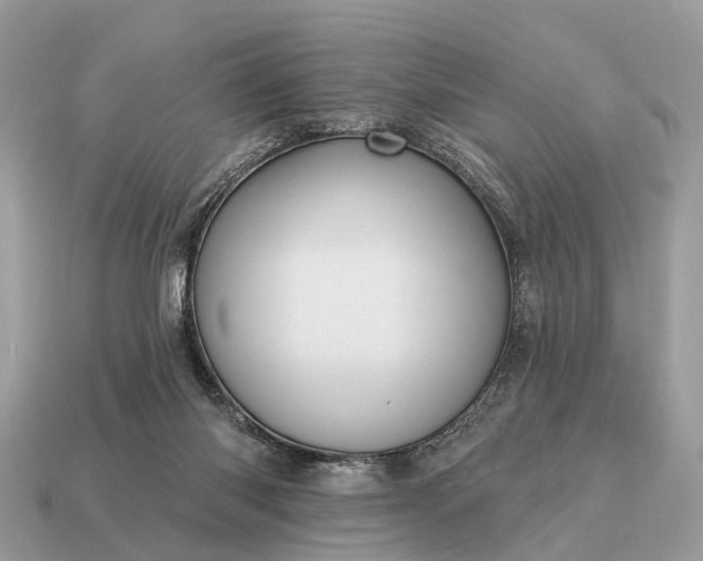 X0000115130118200911101655