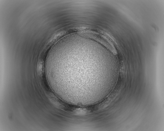 X0000115130119200911101655