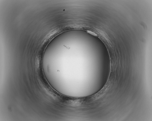 X0000115130120200911101655