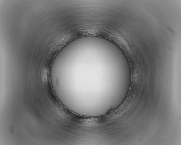 X0000115130122200911101655