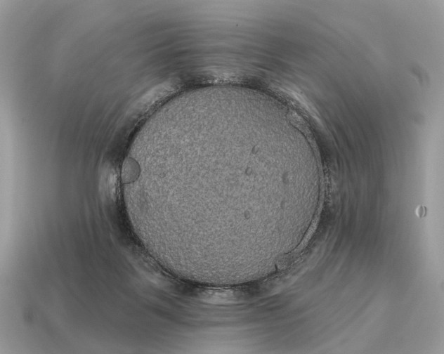 X0000115130123200911101655