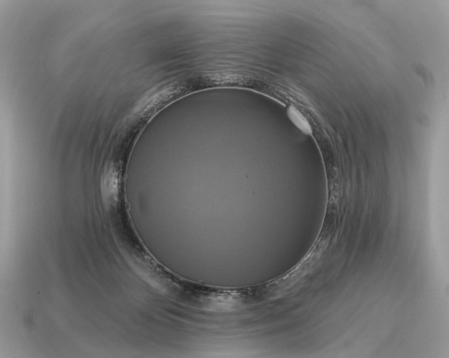 X0000115130124200911101655