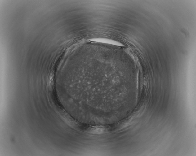 X0000115130127200911101654