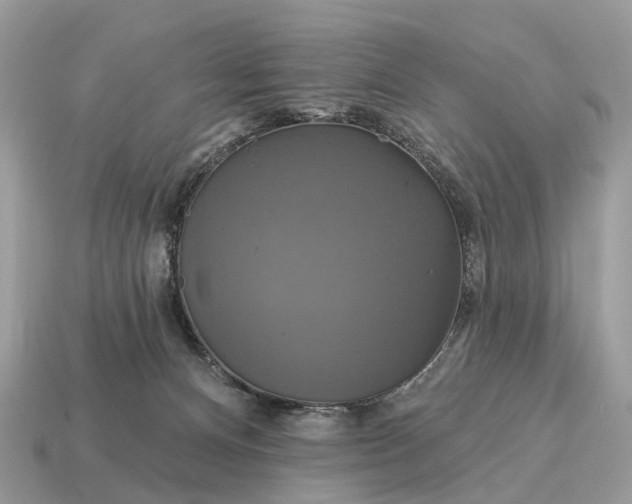 X0000115130128200911101654
