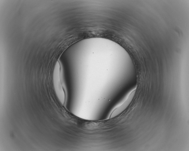 X0000115130129200911101654