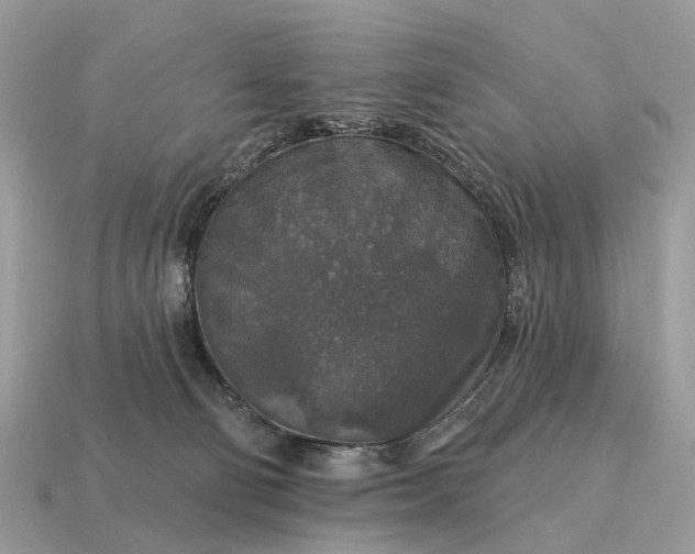 X0000115130130200911101654