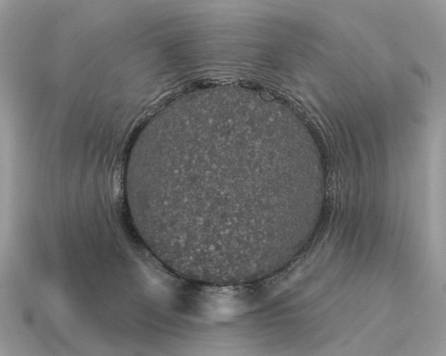 X0000115130131200911101654