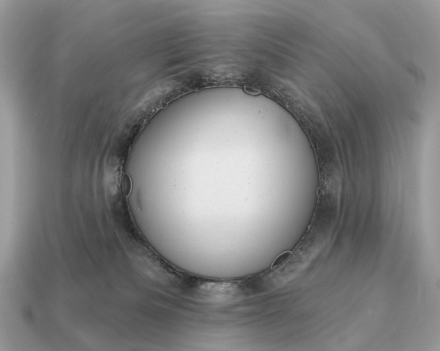 X0000115130133200911101654