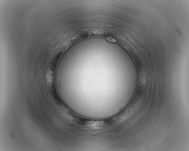 X0000115130135200911101654