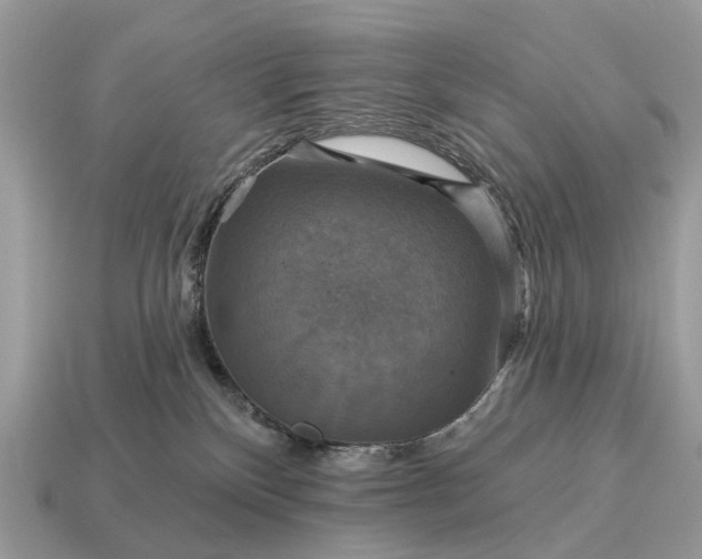 X0000115130136200911101654